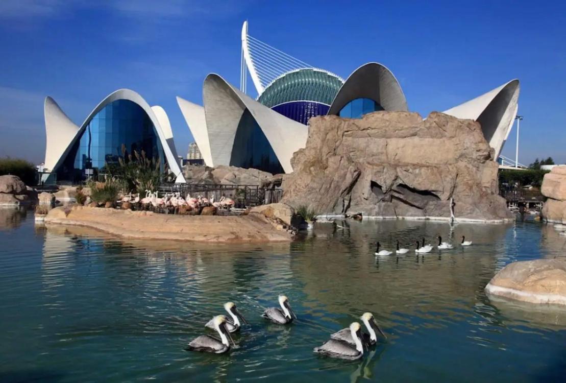Lovely Apartment Near Beach & Science City Valência Exterior foto